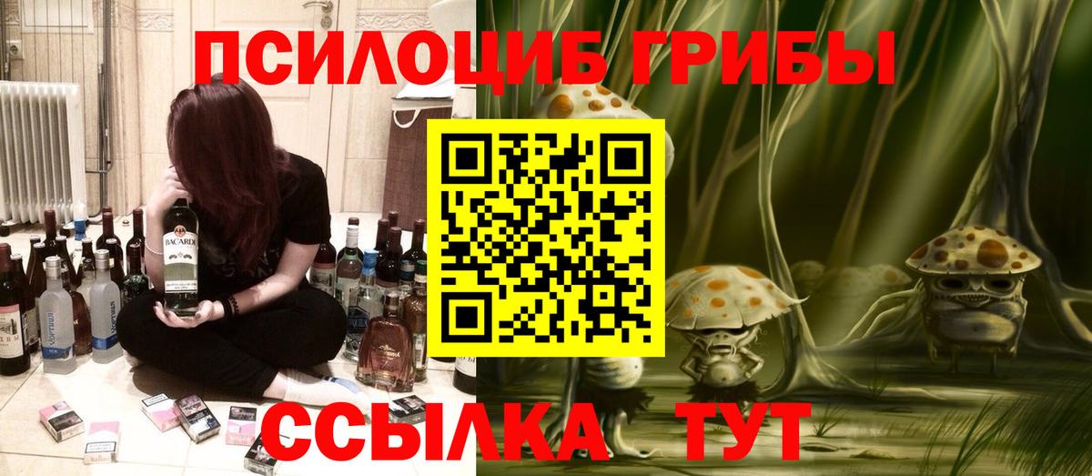 Псилоцибиновые грибы Cubensis  Вход с VPN  Псилоцибиновые грибы мицелий  купить закладку  Чита 